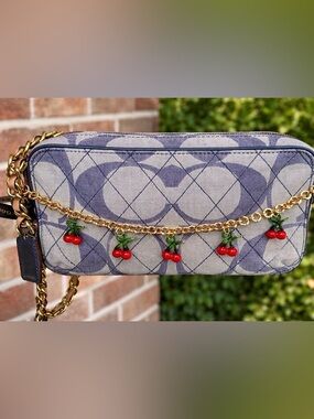 Coach Poppy Signature Quilted Camera Bag Chain Crossbody